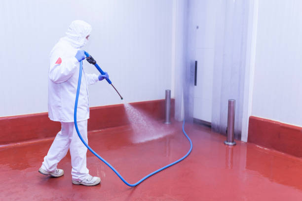 Best Driveway Pressure Washing  in Medford, NY